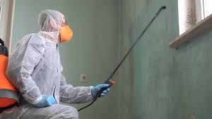 Mold Remediation for Vacation Homes in Navarre, OH