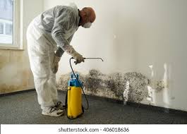 Navarre, OH Mold Inspection Company